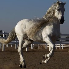 Схема вышивки «28»