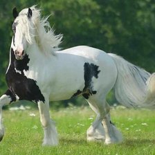 Схема вышивки «29»