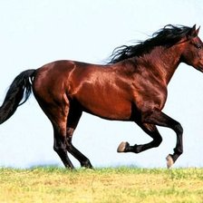 Схема вышивки «37»