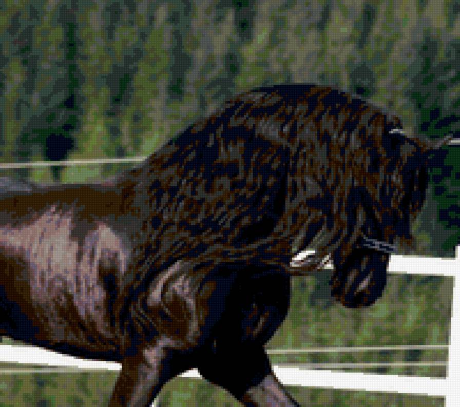 40 - природа, красота, животные, лошади - предпросмотр