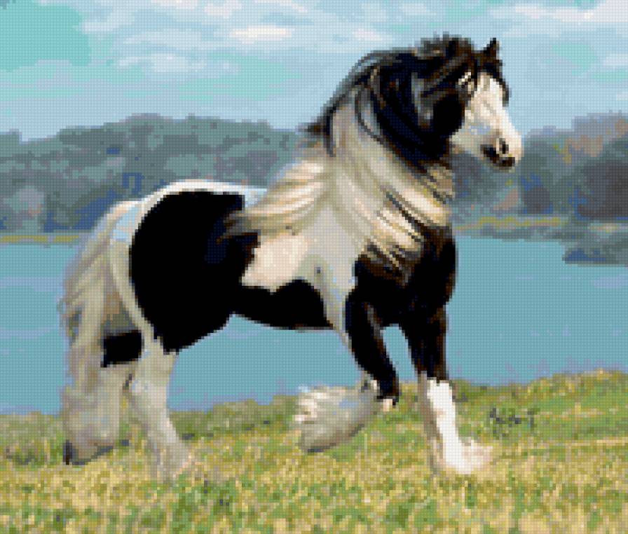 41 - лошади, животные, красота, природа - предпросмотр