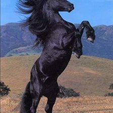 Схема вышивки «Фриз»