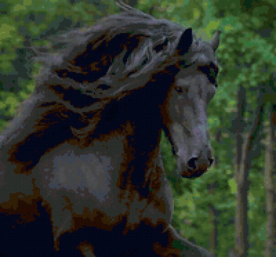 44 - красота, природа, лошади, животные - предпросмотр