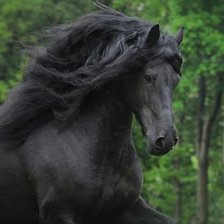 Схема вышивки «44»