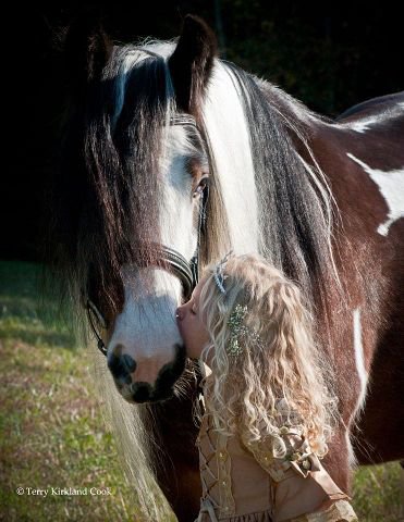 46 - животные, лошади, природа, красота - оригинал