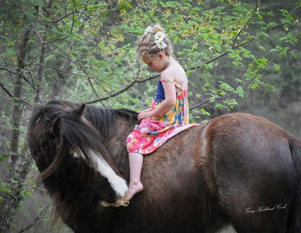 47 - красота, лошади, природа, животные - оригинал