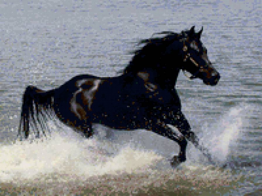 52 - животные, красота, природа, лошади - предпросмотр