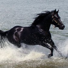 Схема вышивки «52»