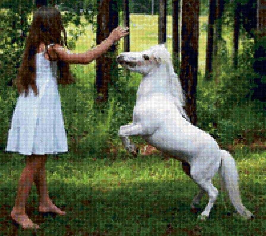 55 - природа, животные, лошади, красота - предпросмотр