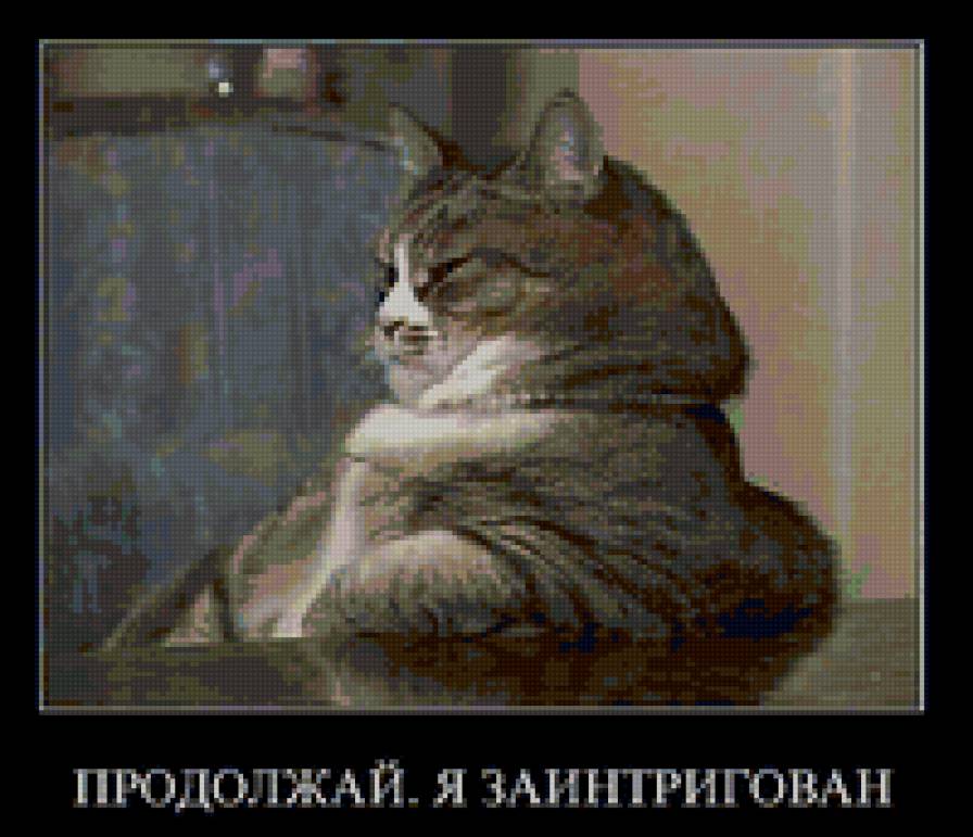 58 - котята, животные, природа, кошки - предпросмотр