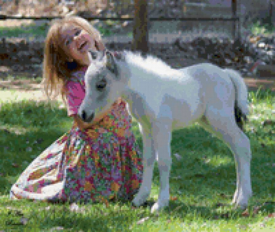 59 - природа, животные, красота, лошади - предпросмотр