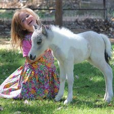 Схема вышивки «59»