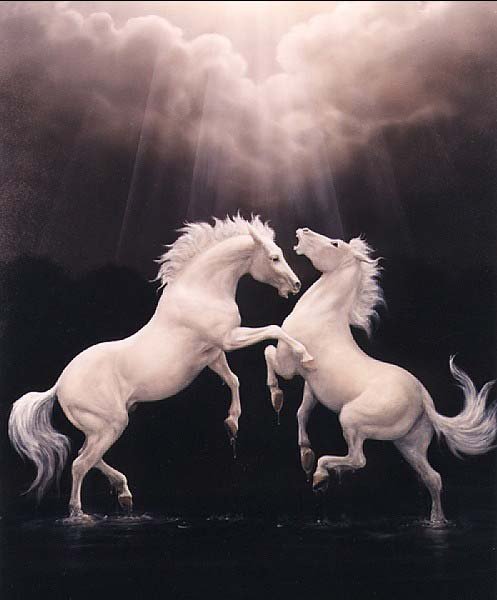 белые кони - кони - оригинал