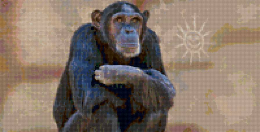 №35905 - предпросмотр