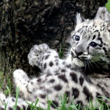 Схема вышивки «№35909»