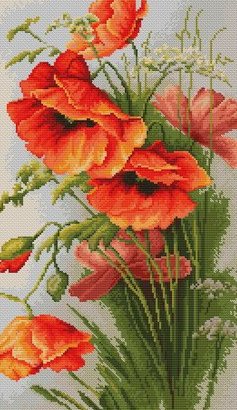 маки 2 - маки, цветы - оригинал