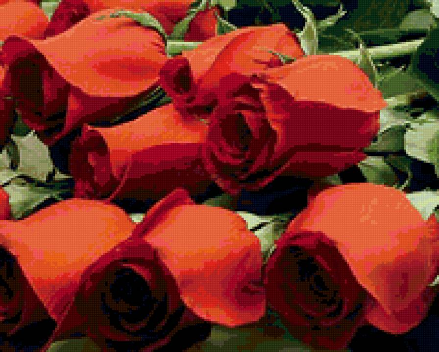 №35981 - предпросмотр