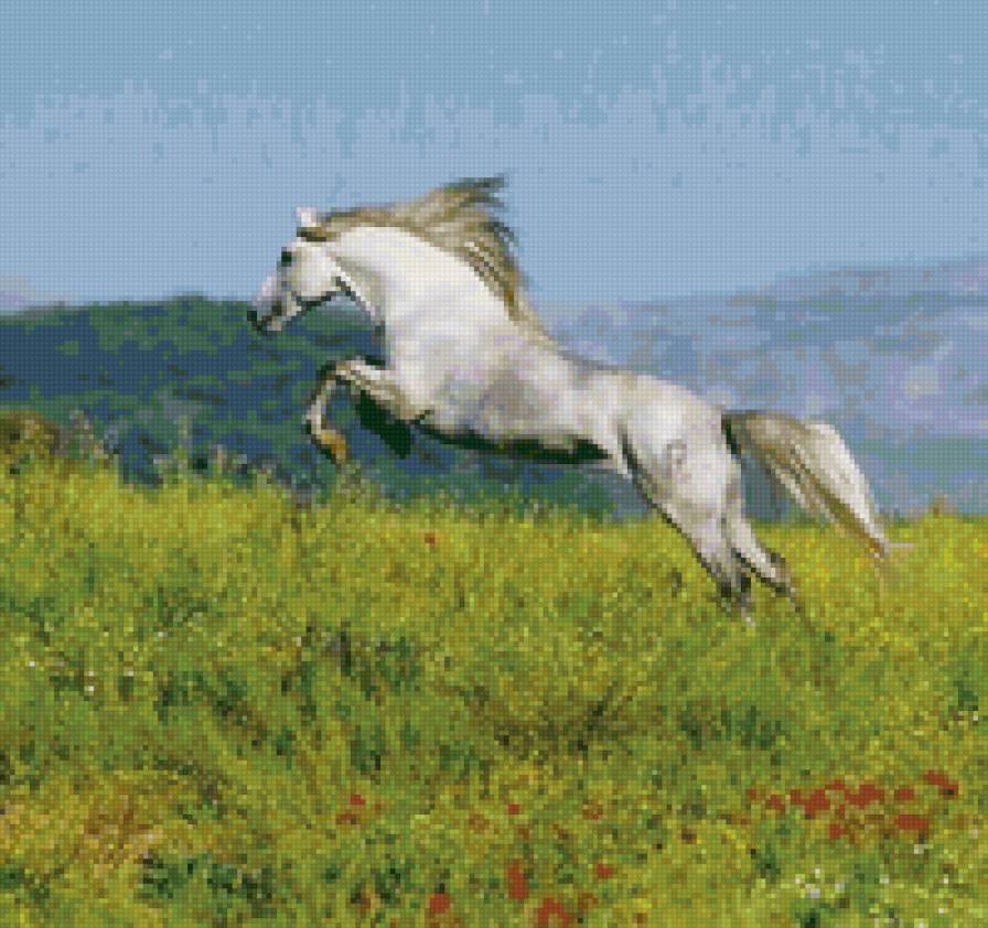 61 - лошади, животные, природа, красота - предпросмотр