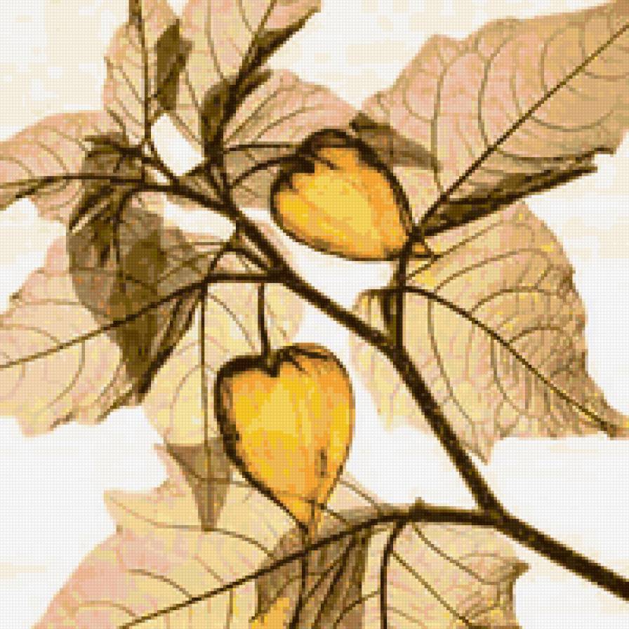 Variant 2 - rastenija - предпросмотр