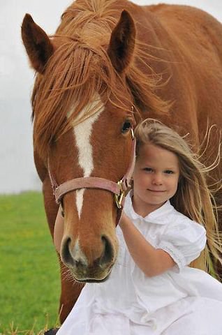 63 - лошади, красота, природа, животные - оригинал