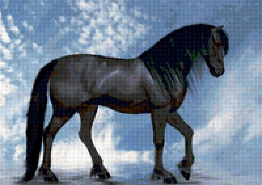 68 - животные, природа, красота, лошади - предпросмотр