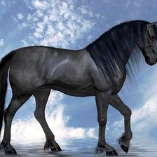 Схема вышивки «68»