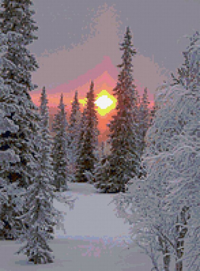 Зимний лес - лес, зима - предпросмотр