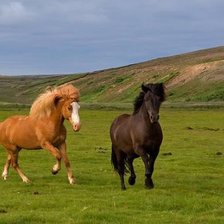 Схема вышивки «86»