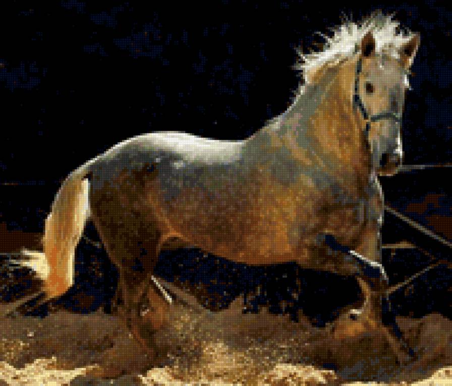 96 - лошади, красота, природа, животные - предпросмотр