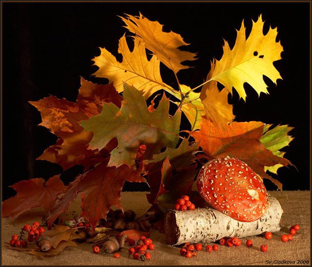 Осенний букет - букет, натюрморт - оригинал