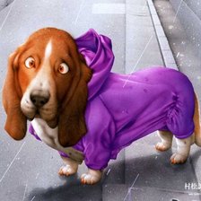 Схема вышивки «собака»