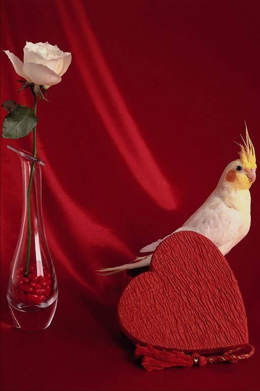 №36616 - оригинал