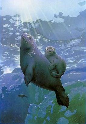 тюлени - оригинал