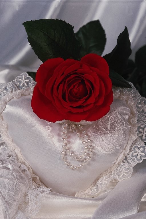 №36618 - оригинал