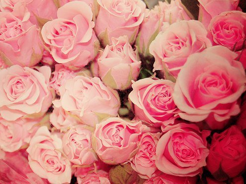 Цветы - цветы - оригинал