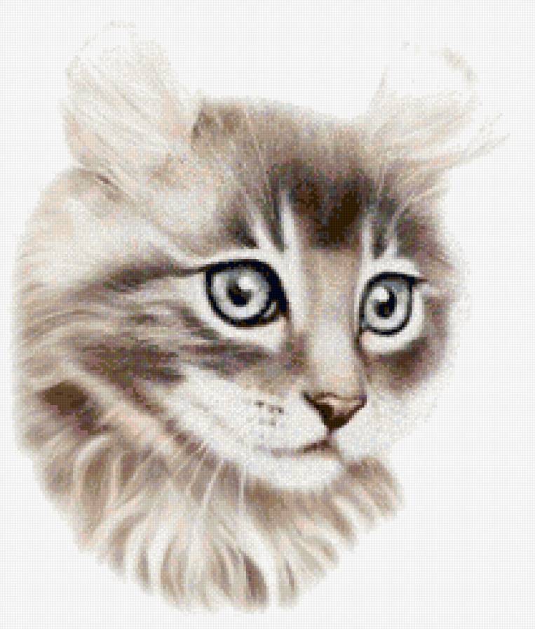 Кот - животные, живопись, коты - предпросмотр