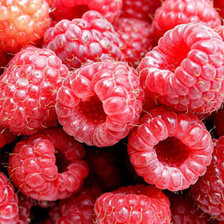 Схема вышивки «Россыпь малины»