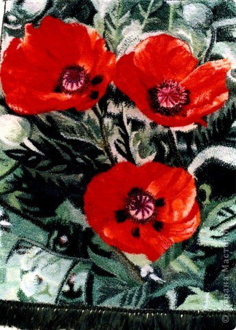 Маки_ - оригинал