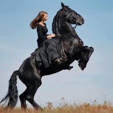 Схема вышивки «477»