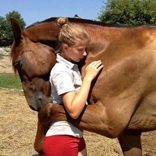 Схема вышивки «511»