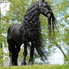 Схема вышивки «544»