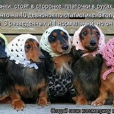 Схема вышивки «566»