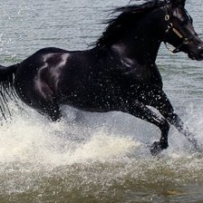 Схема вышивки «588»