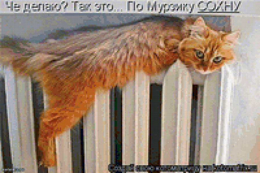 688 - животные, природа, кошки, котята - предпросмотр