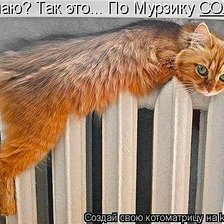 Схема вышивки «688»