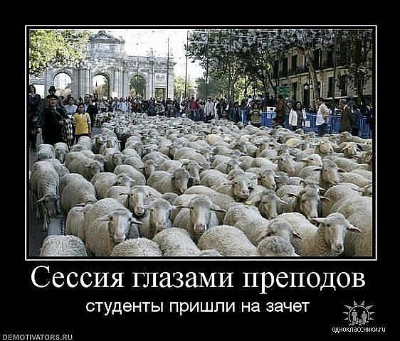 954 - природа, животные - оригинал