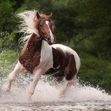 Схема вышивки «5333»