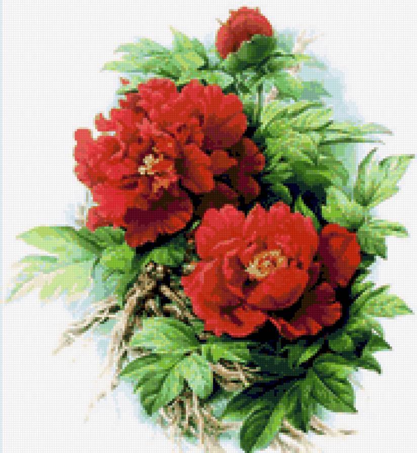 №37395 - предпросмотр