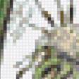 Предпросмотр схемы вышивки «Одуванчики» (№37530)