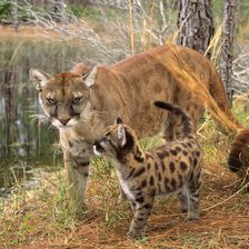 Схема вышивки «мама»